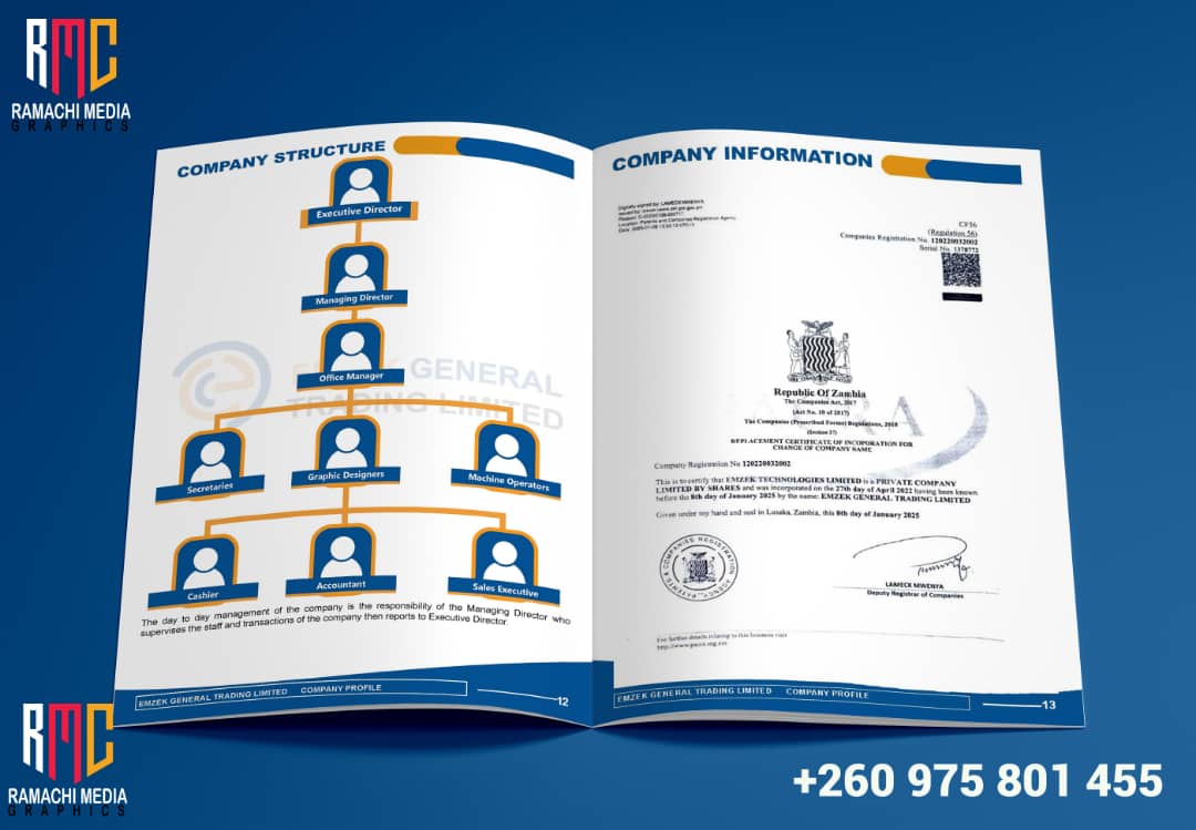 Company Profile Example 1